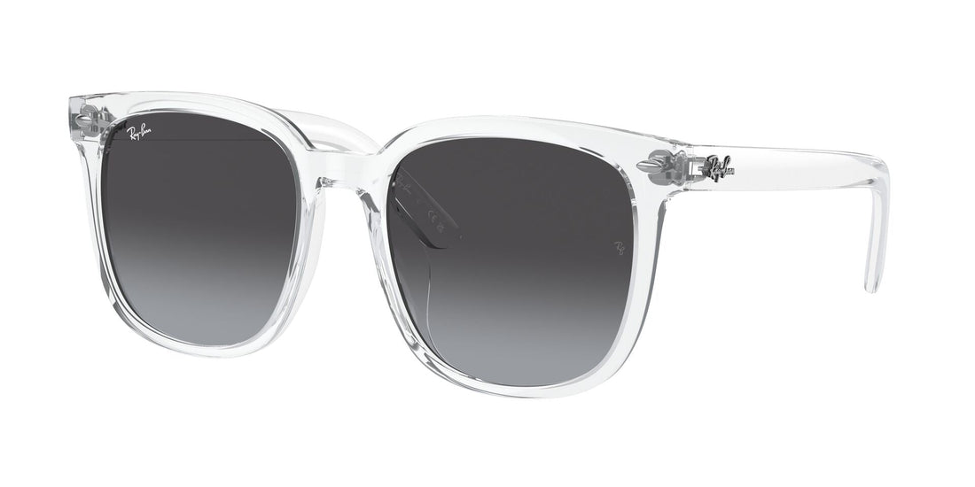 RayBan RB 4401D 6447/8G