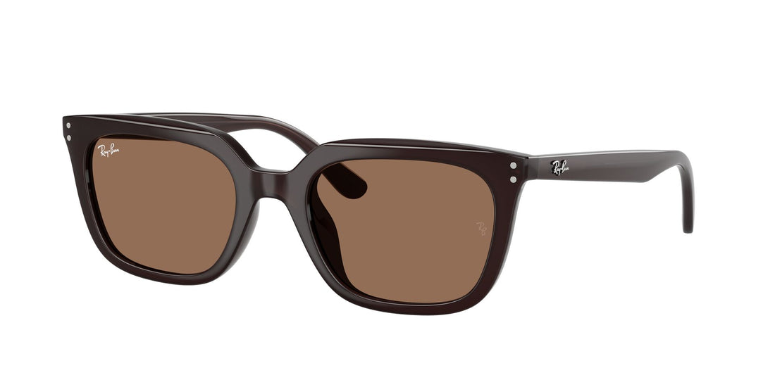 RayBan RB 4439D 6231/73