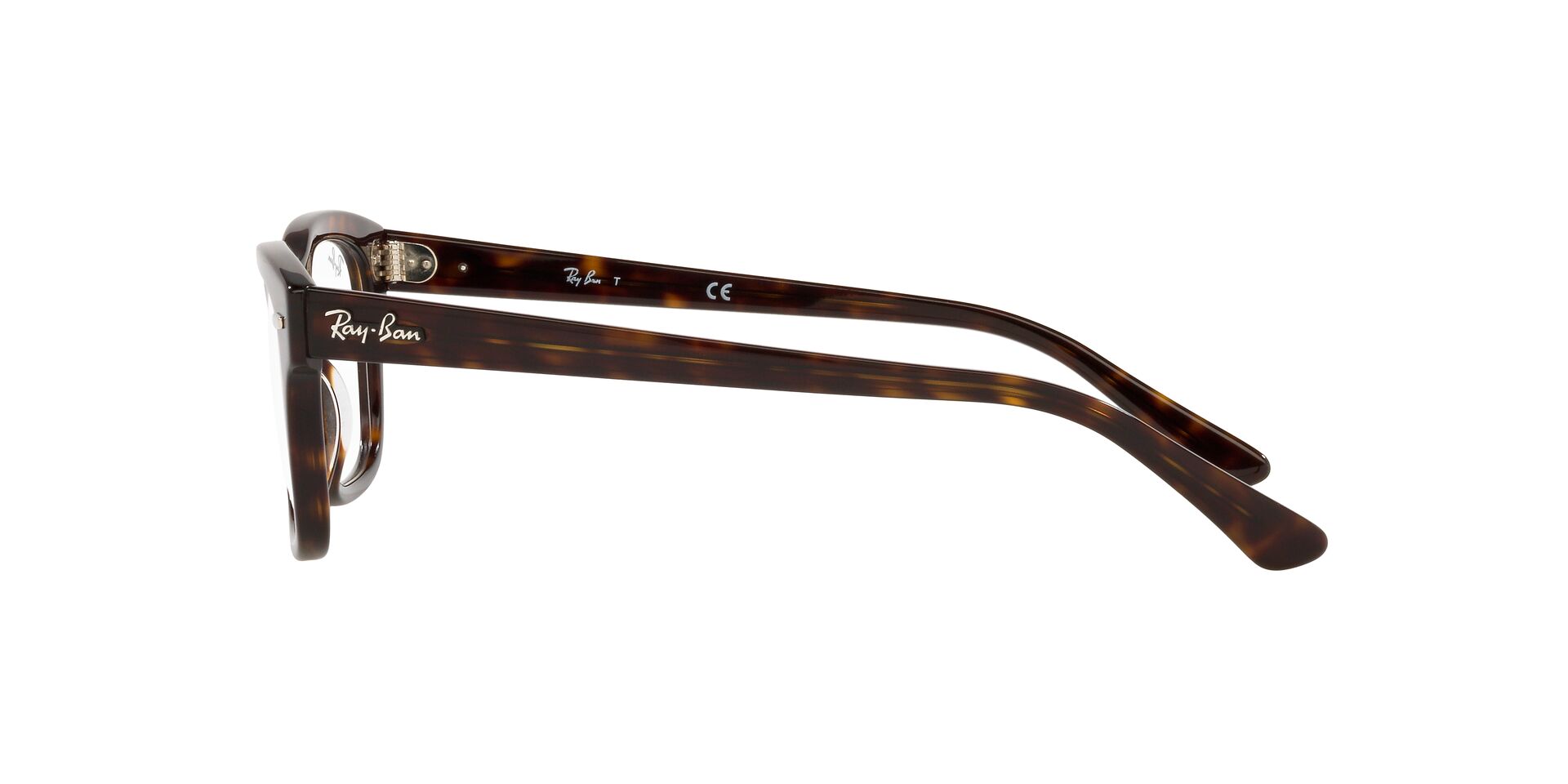 RayBan RX 5383 2012 MR BURBANK