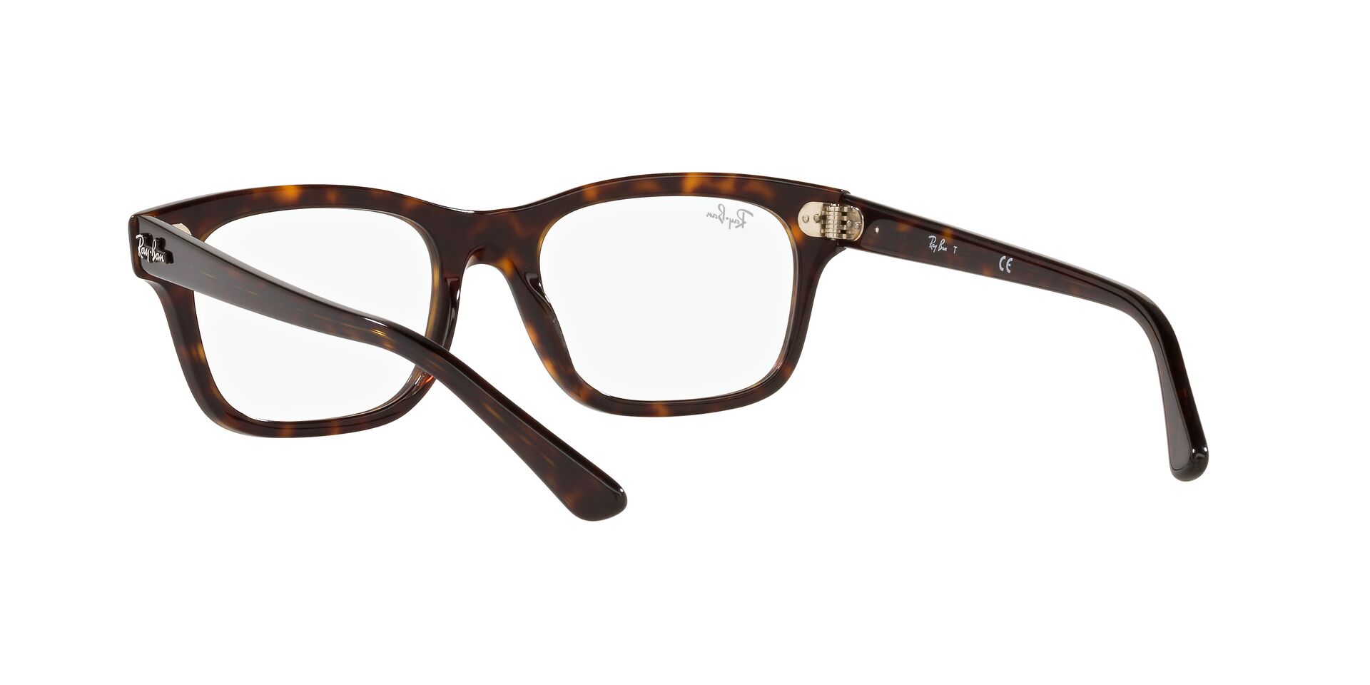 RayBan RX 5383 2012 MR BURBANK