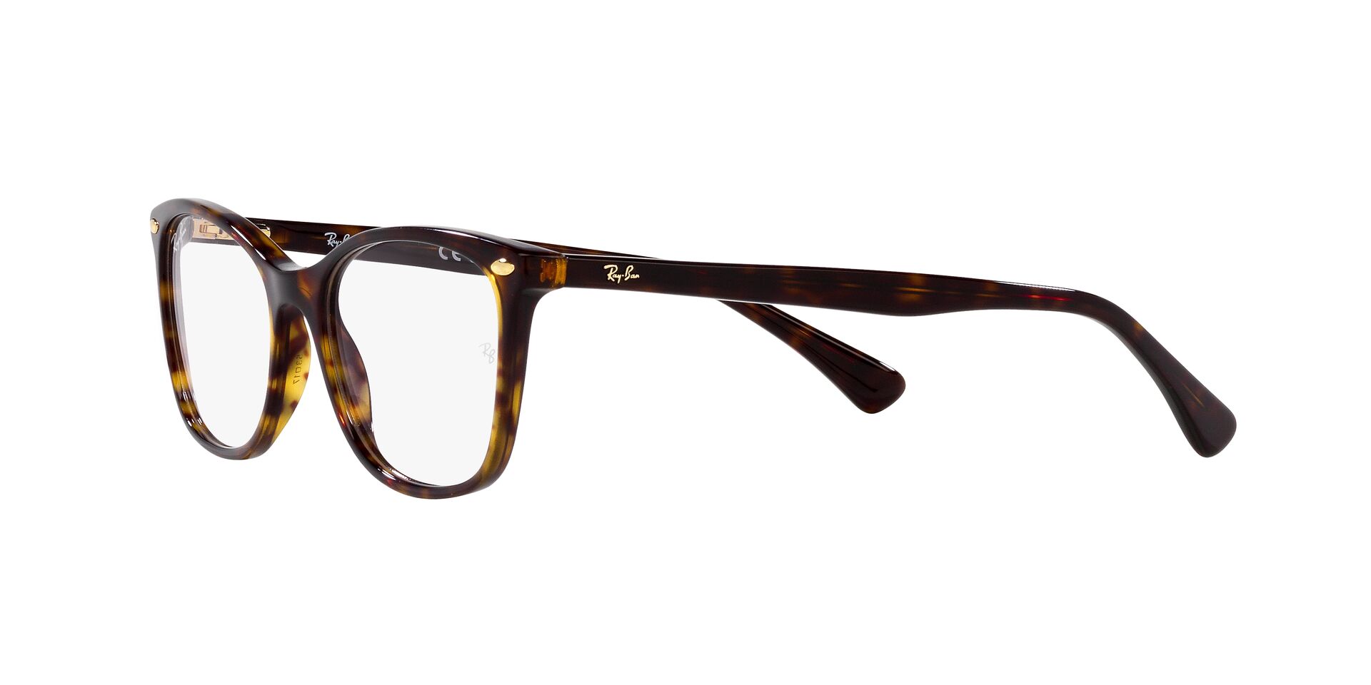RayBan RX 5420-I 2012