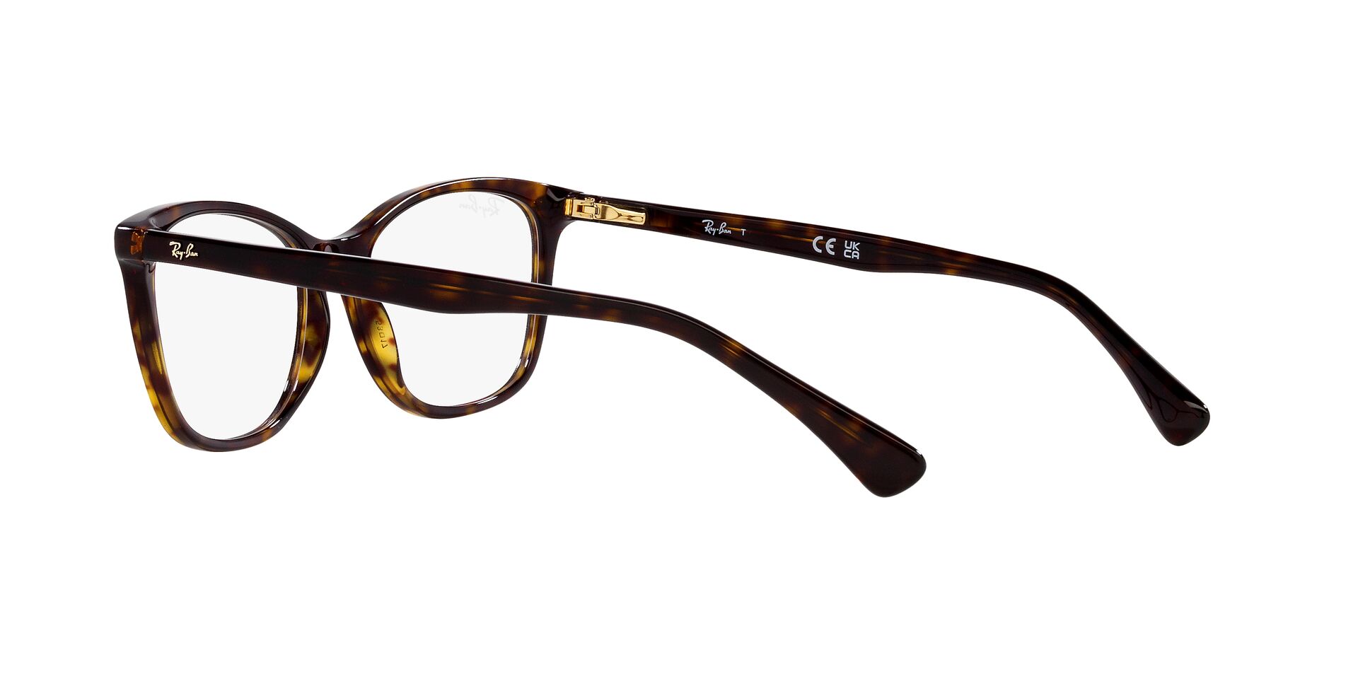 RayBan RX 5420-I 2012