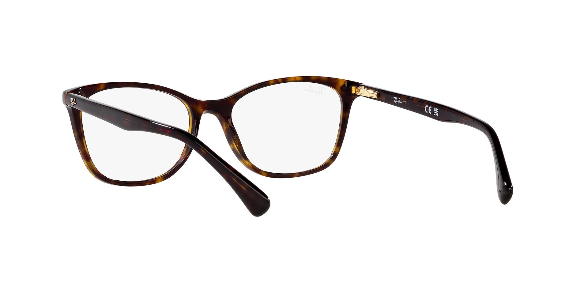 RayBan RX 5420-I 2012