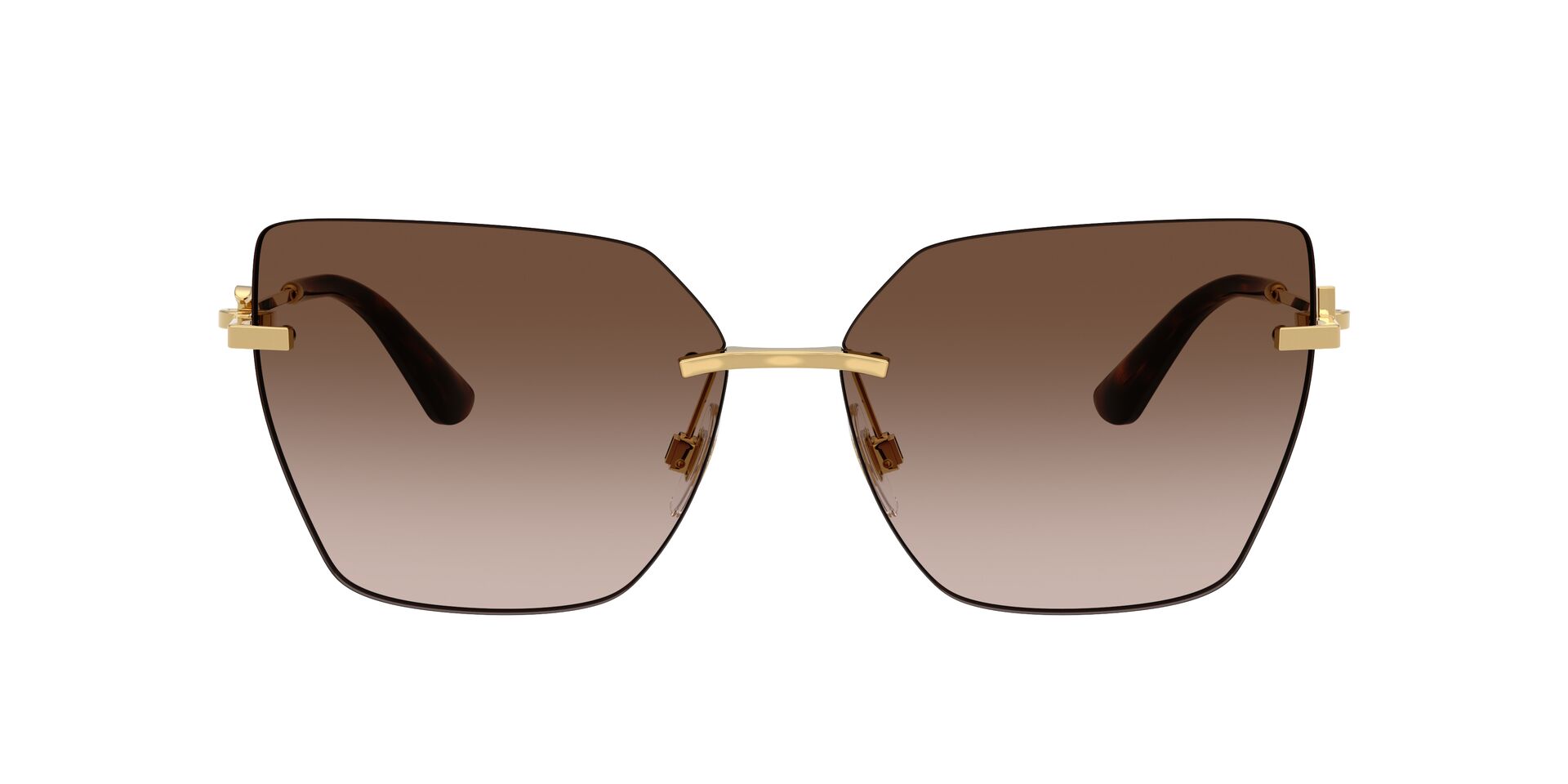 Dolce & Gabbana DG 2321 02/13