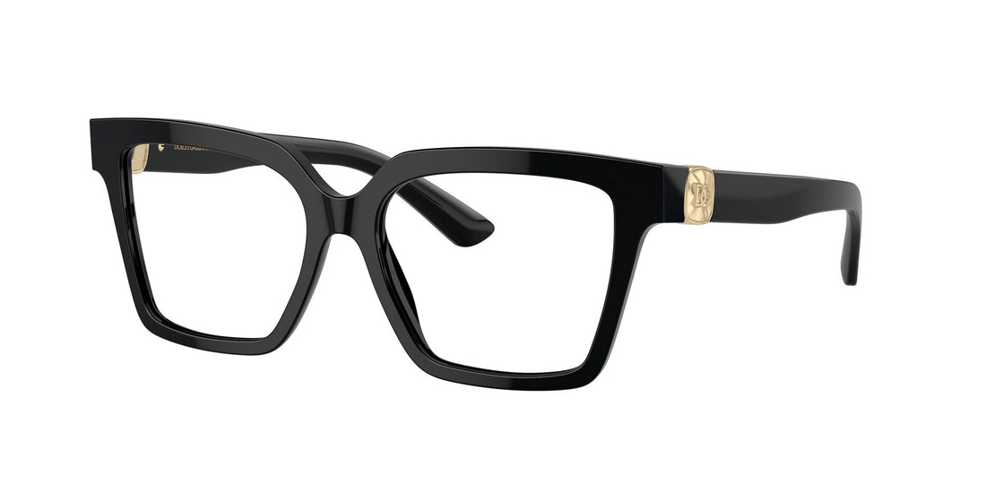Dolce & Gabbana DG 3395 501