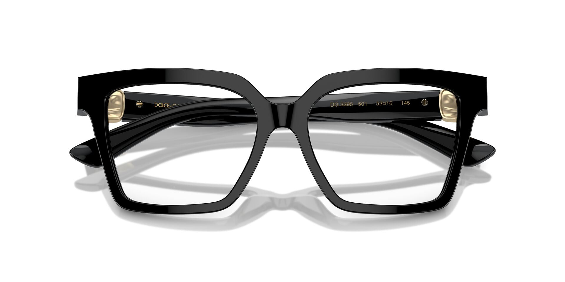Dolce & Gabbana DG 3395 501