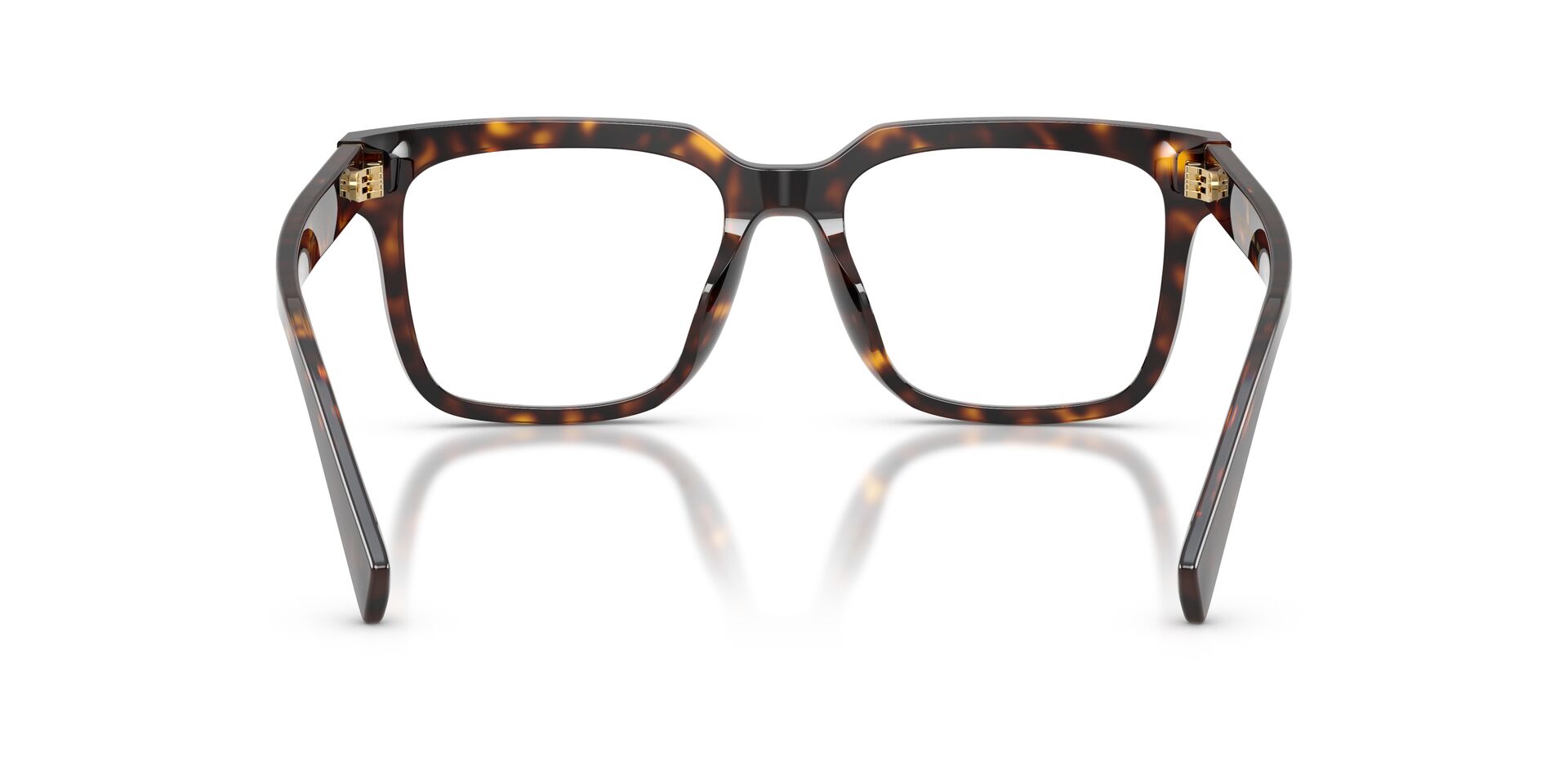 Dolce & Gabbana DG 3422 502