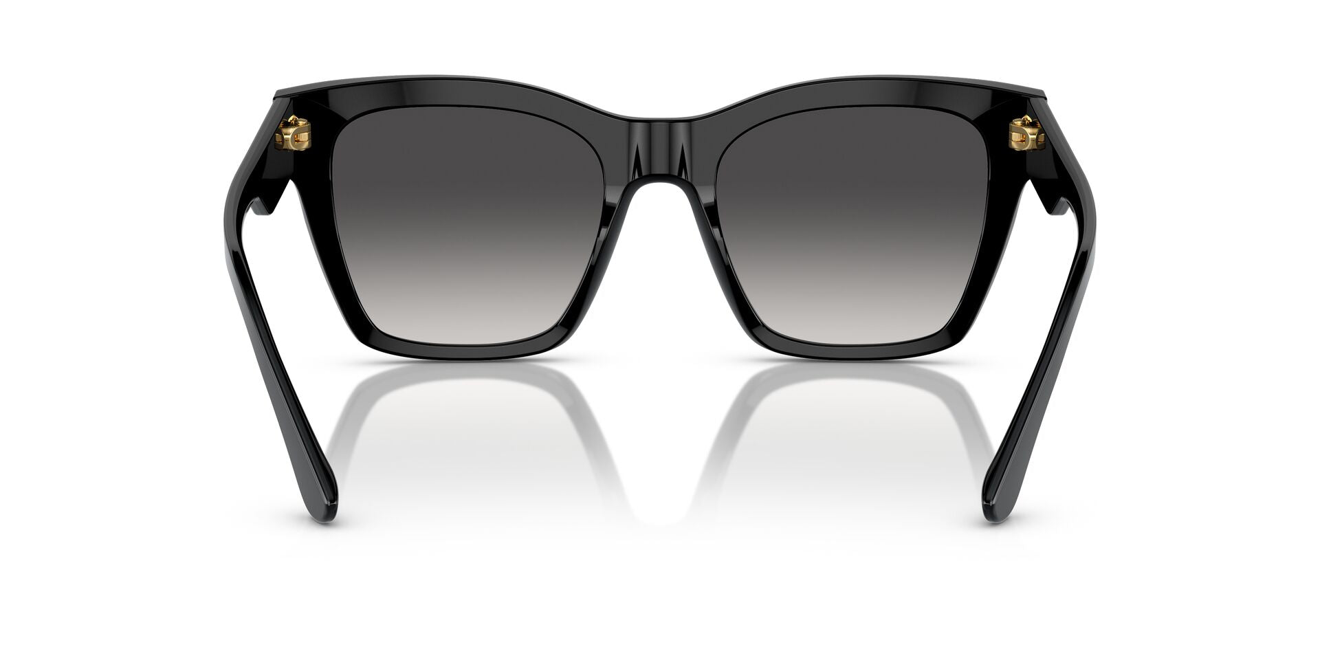 Dolce & Gabbana DG 4384 501/8G