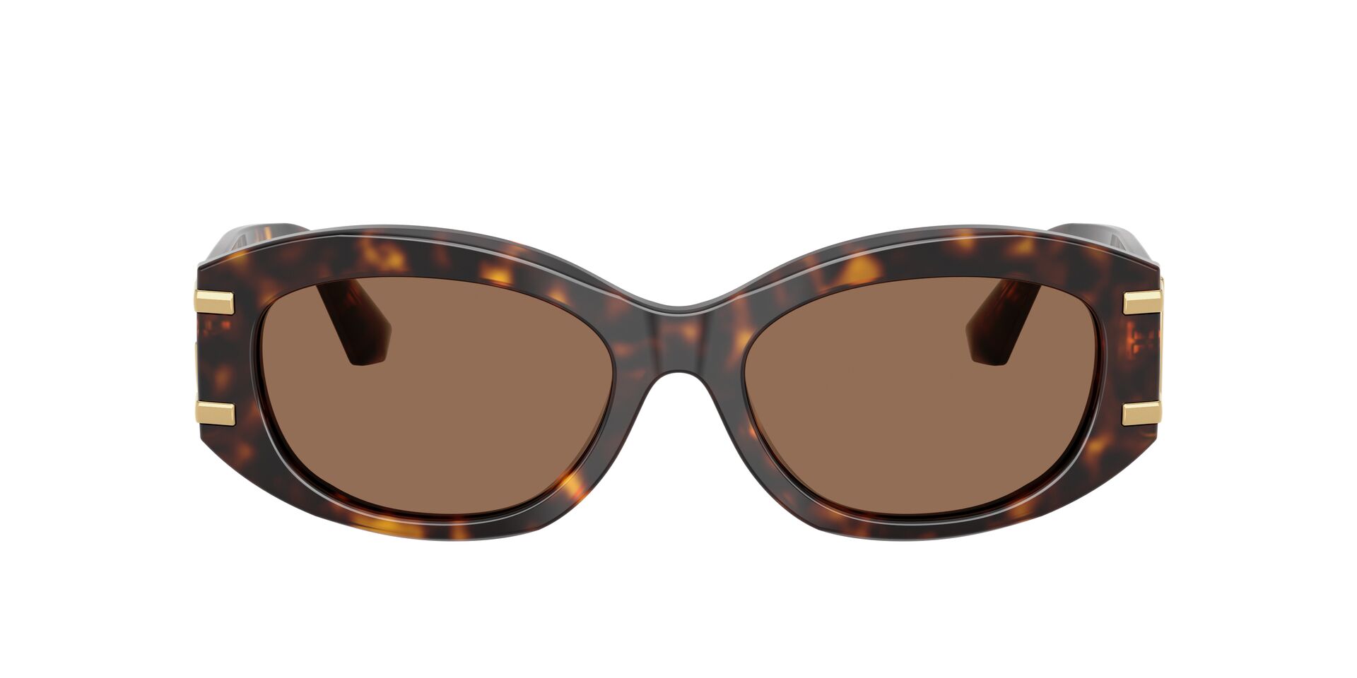 Dolce & Gabbana DG 4502 502/73