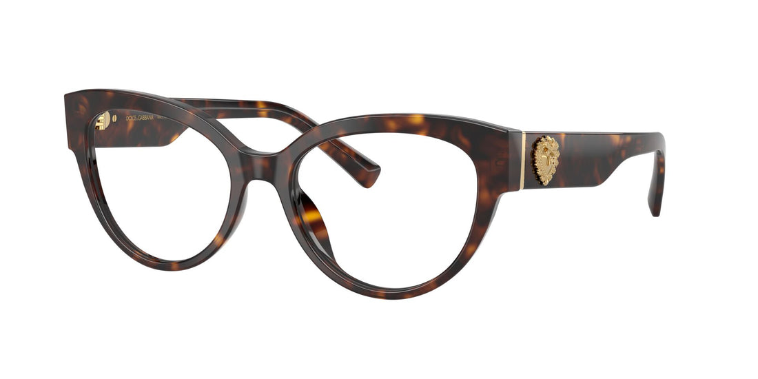Dolce&Gabbana DG 3440 502