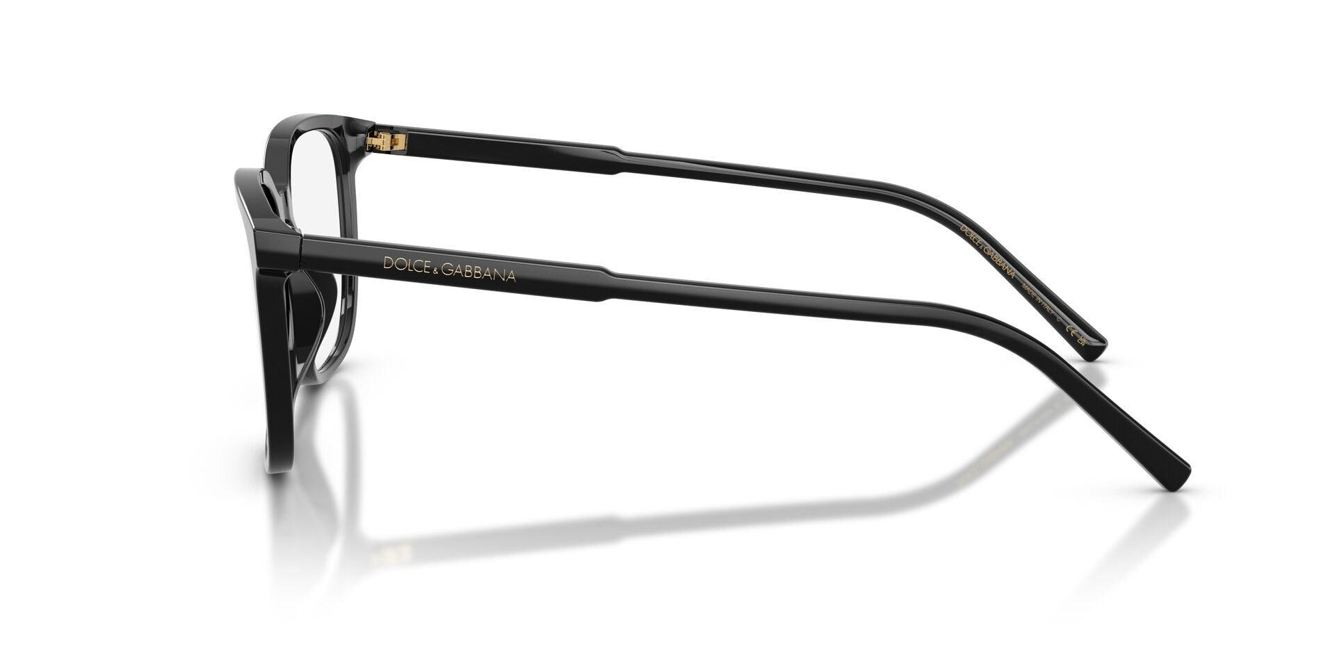 Dolce & Gabbana DG 3445  501