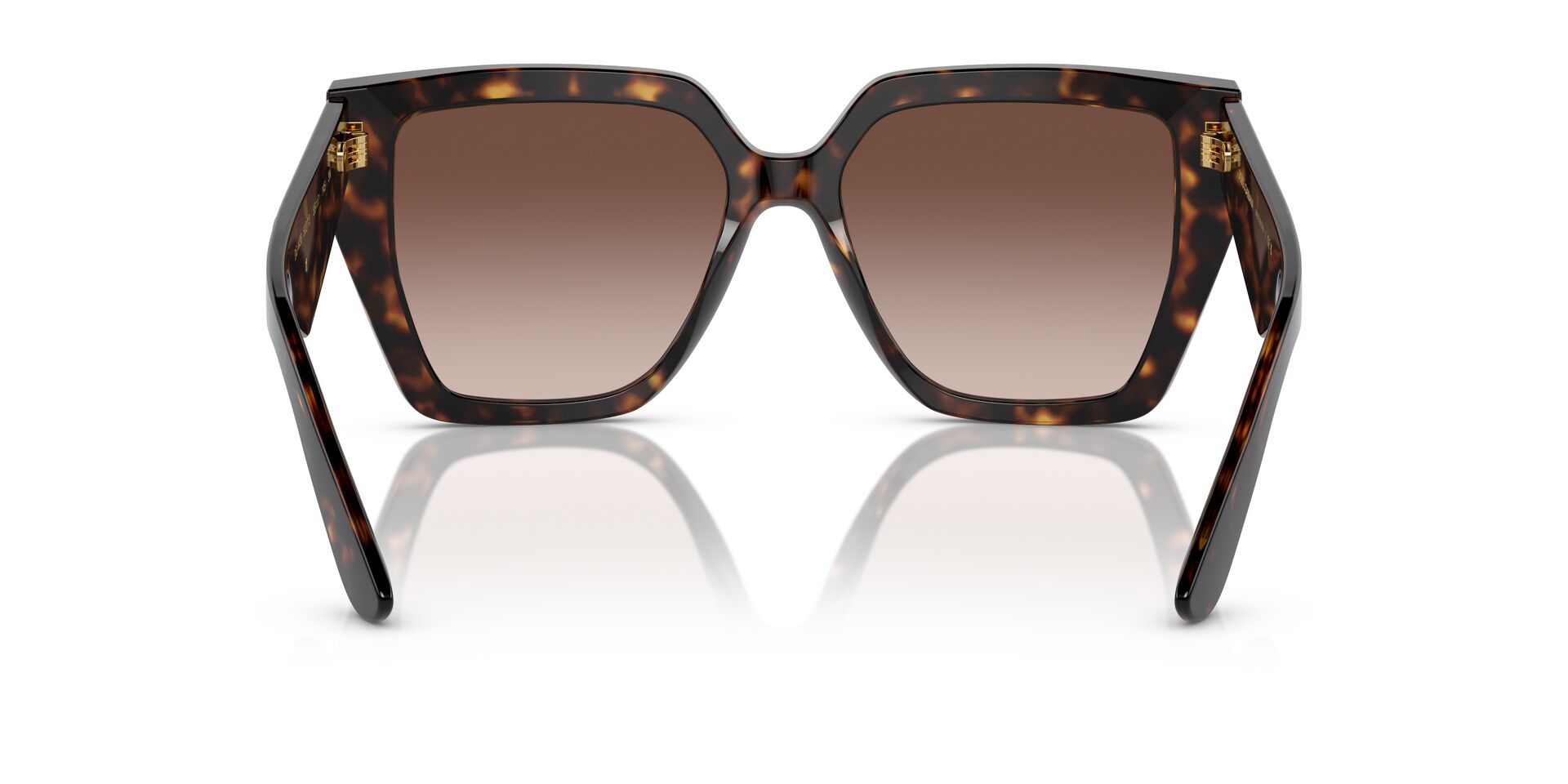 Dolce & Gabbana DG 4438  502 13