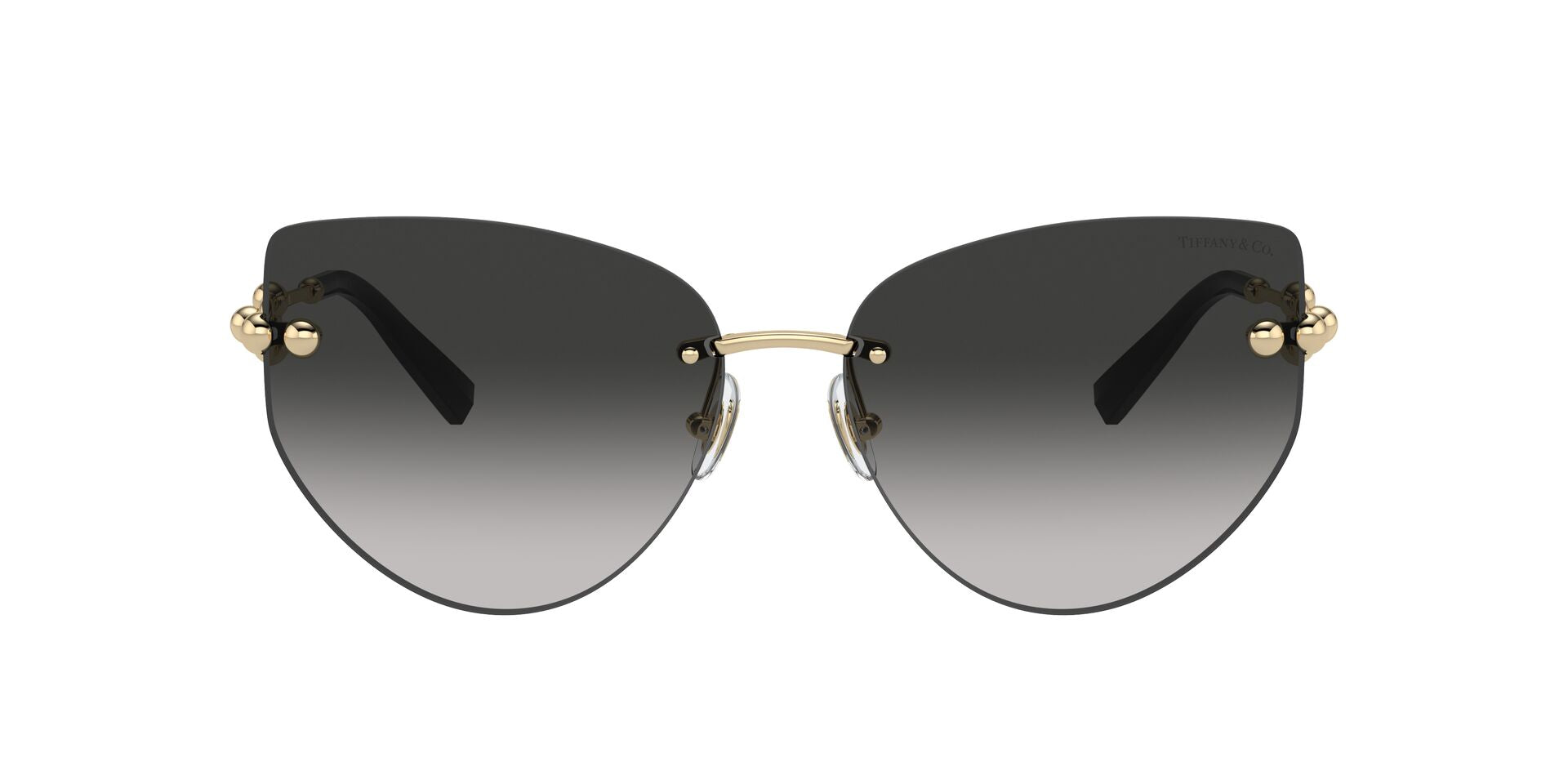Tiffany&Co TF 3096  6021/3C