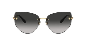 Tiffany&Co TF 3096  6021/3C