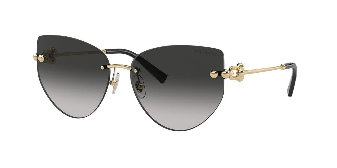 Tiffany&Co TF 3096  6021/3C