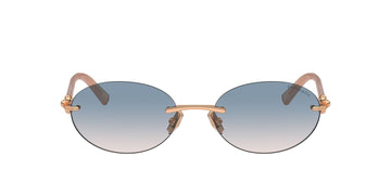 Tiffany&Co TF 3104-D  6217/16